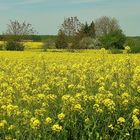 Un coin de campagne....