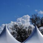 Un coin de ciel!