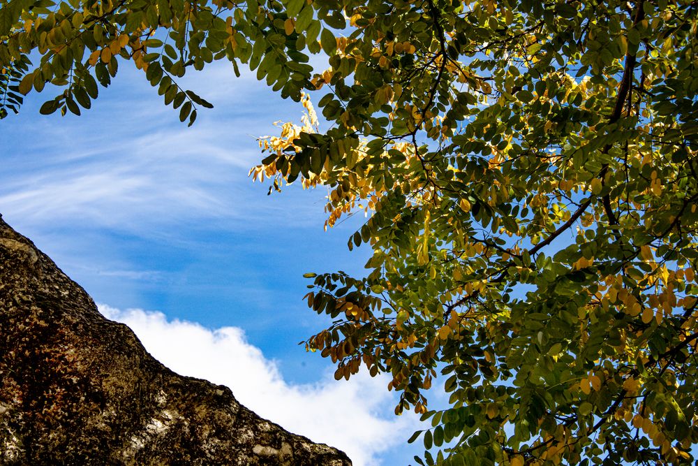 Un coin de ciel bleu 