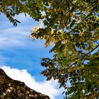 Un coin de ciel bleu 