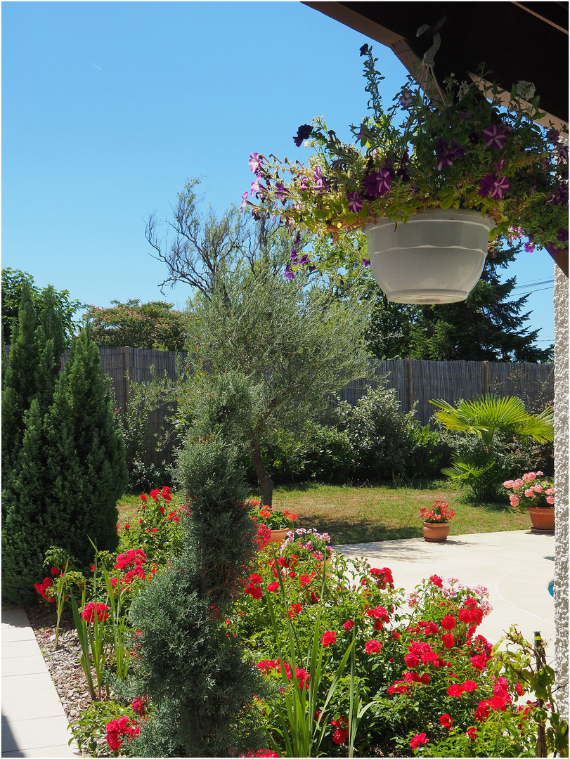 Un coin de jardin en été