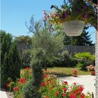 Un coin de jardin en été