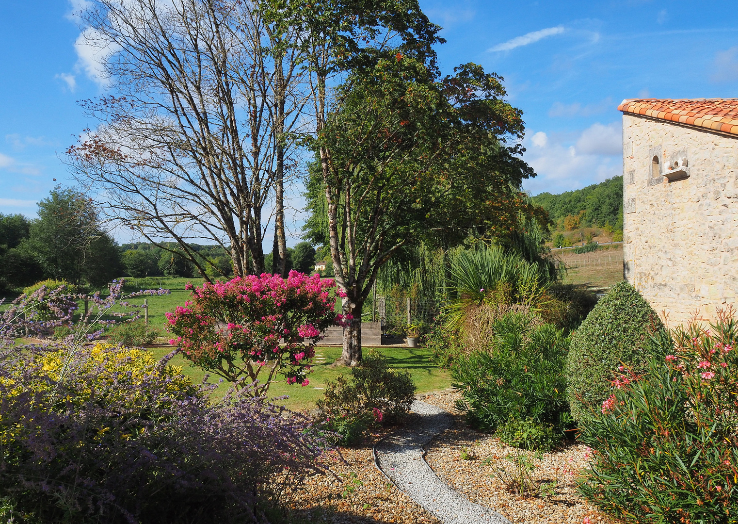 Un coin de jardin que j’aime bien