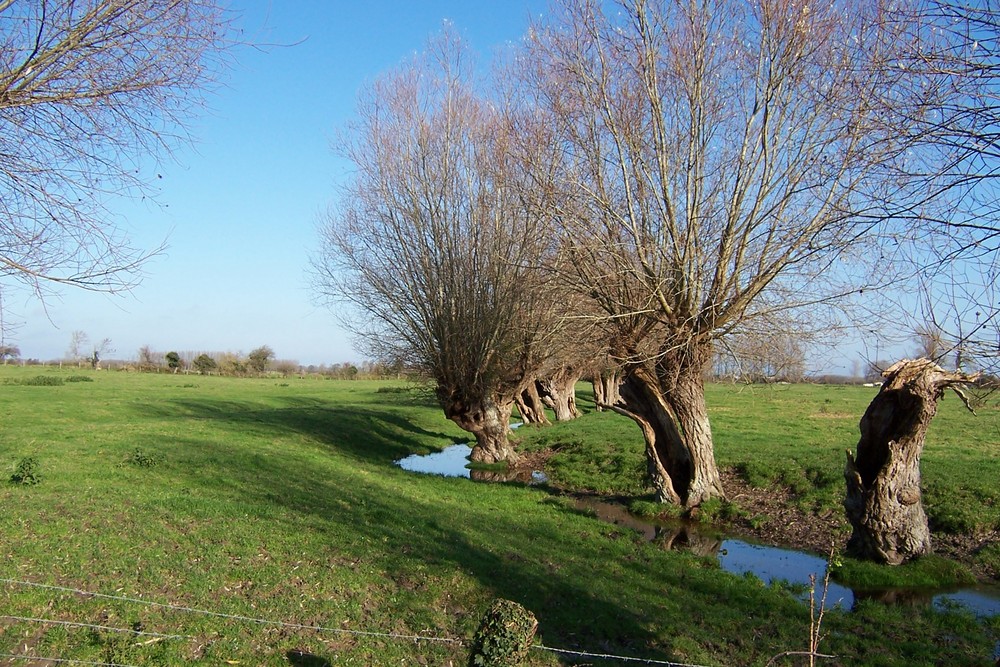 un coin de normandie