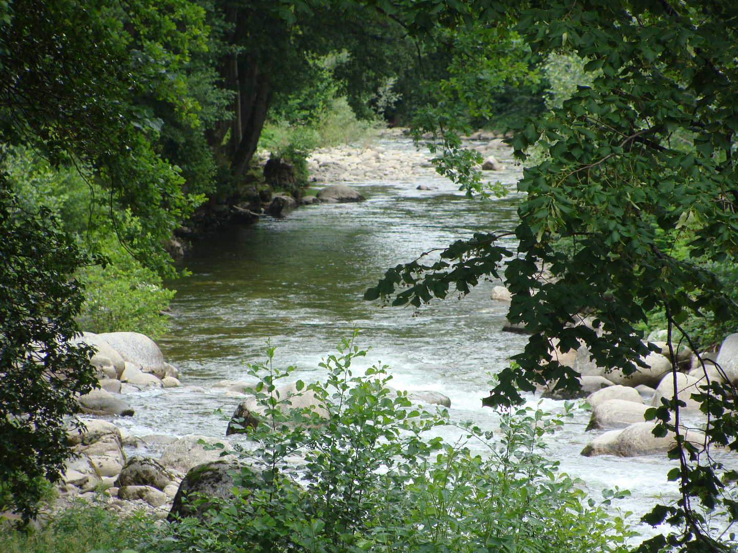 un coin de verdure près de l'eau