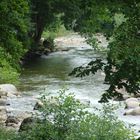 un coin de verdure près de l'eau