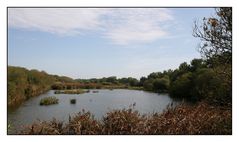 " Un coin des marais de Mousterlin "