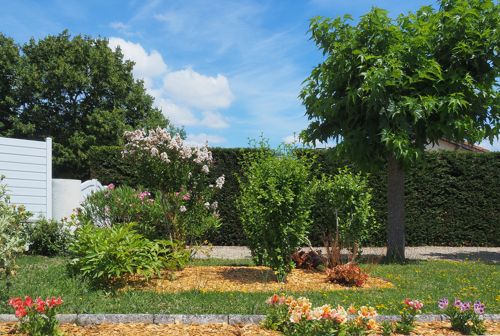 Un coin du jardin