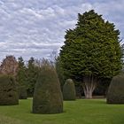 Un coin du parc de Madingley Hall  --  Cambridge  --  Eine Ecke des Parks von Madingley Hall