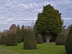 Un coin du parc de Madingley Hall  --  Cambridge  --  Eine Ecke des Parks von Madingley Hall