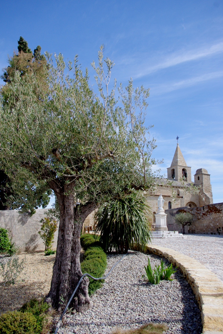 Un coin en Provence ....