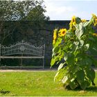 Un coin pour le repos - Parc de Wesserling