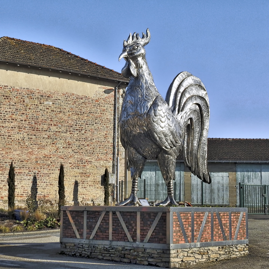 Un coq de Bresse de 3 mètres en acier inoxydable.