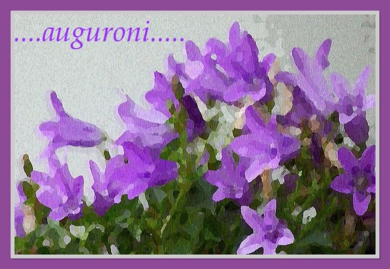 ...un coro di fiori....