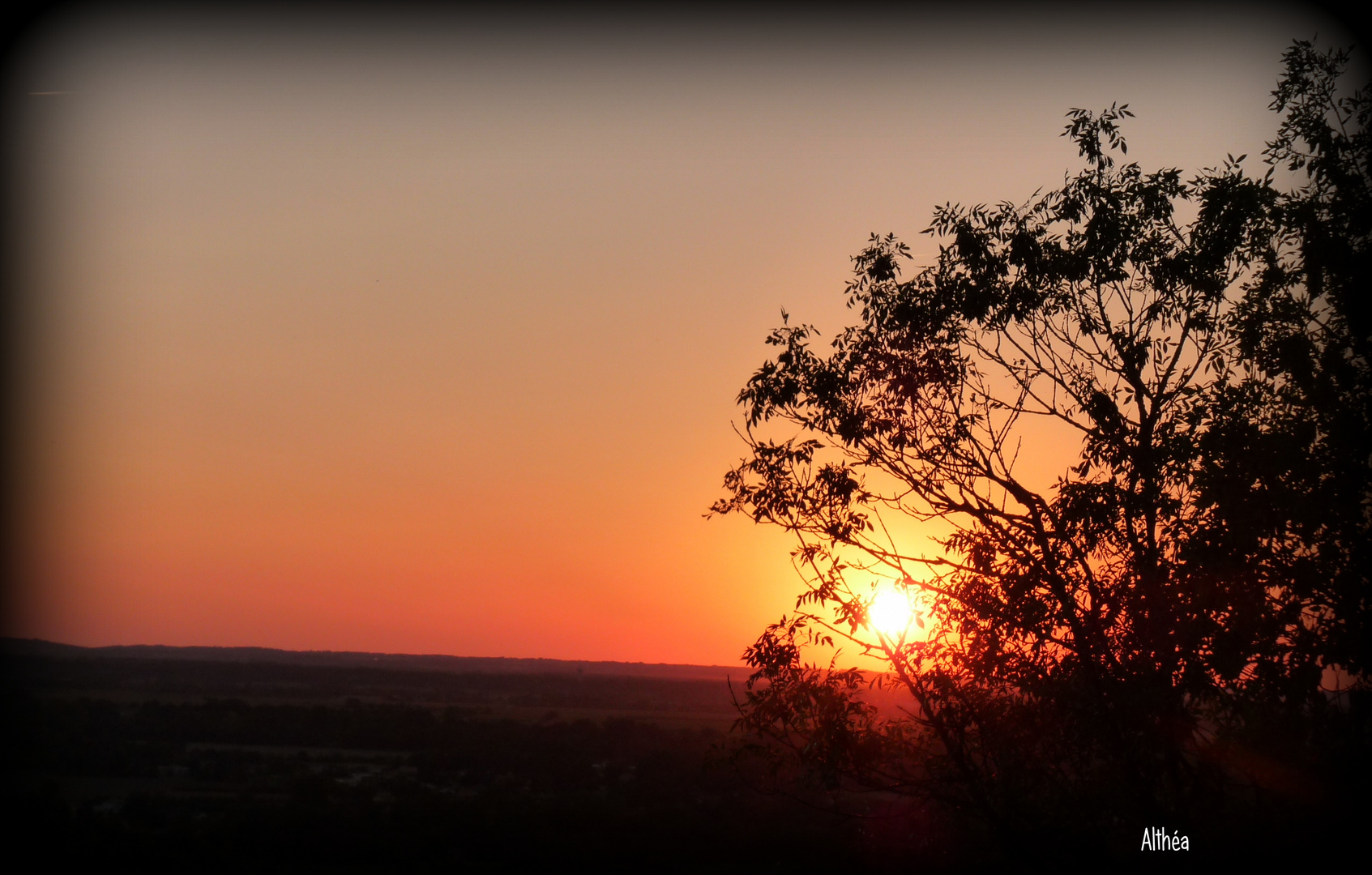 Un coucher de soleil en été