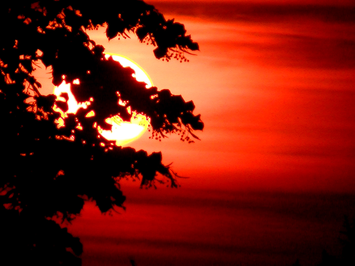 Un coucher de soleil très très chaud