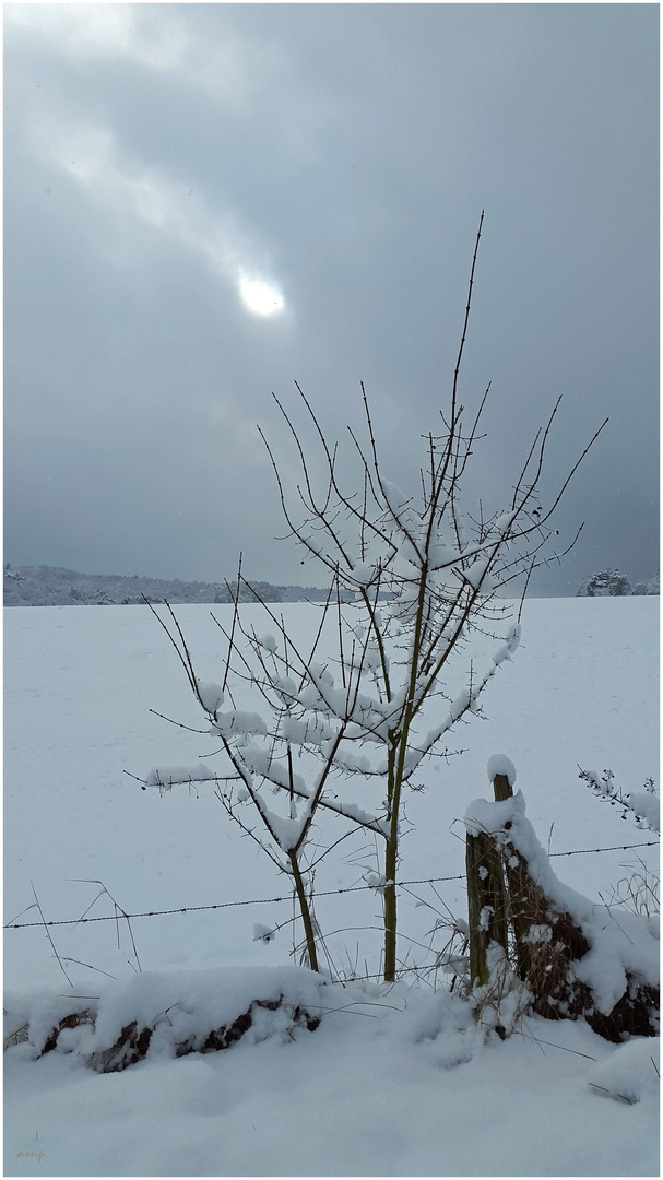 Un coup de lumière ...