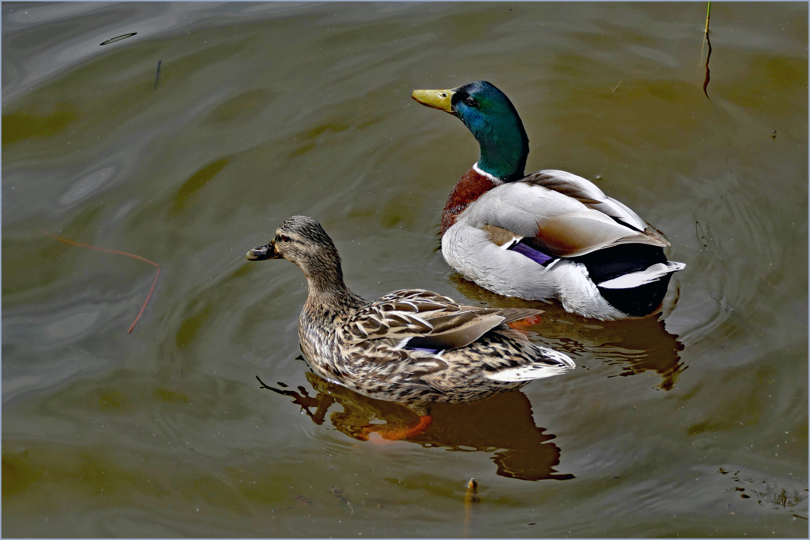 un couple heureux....