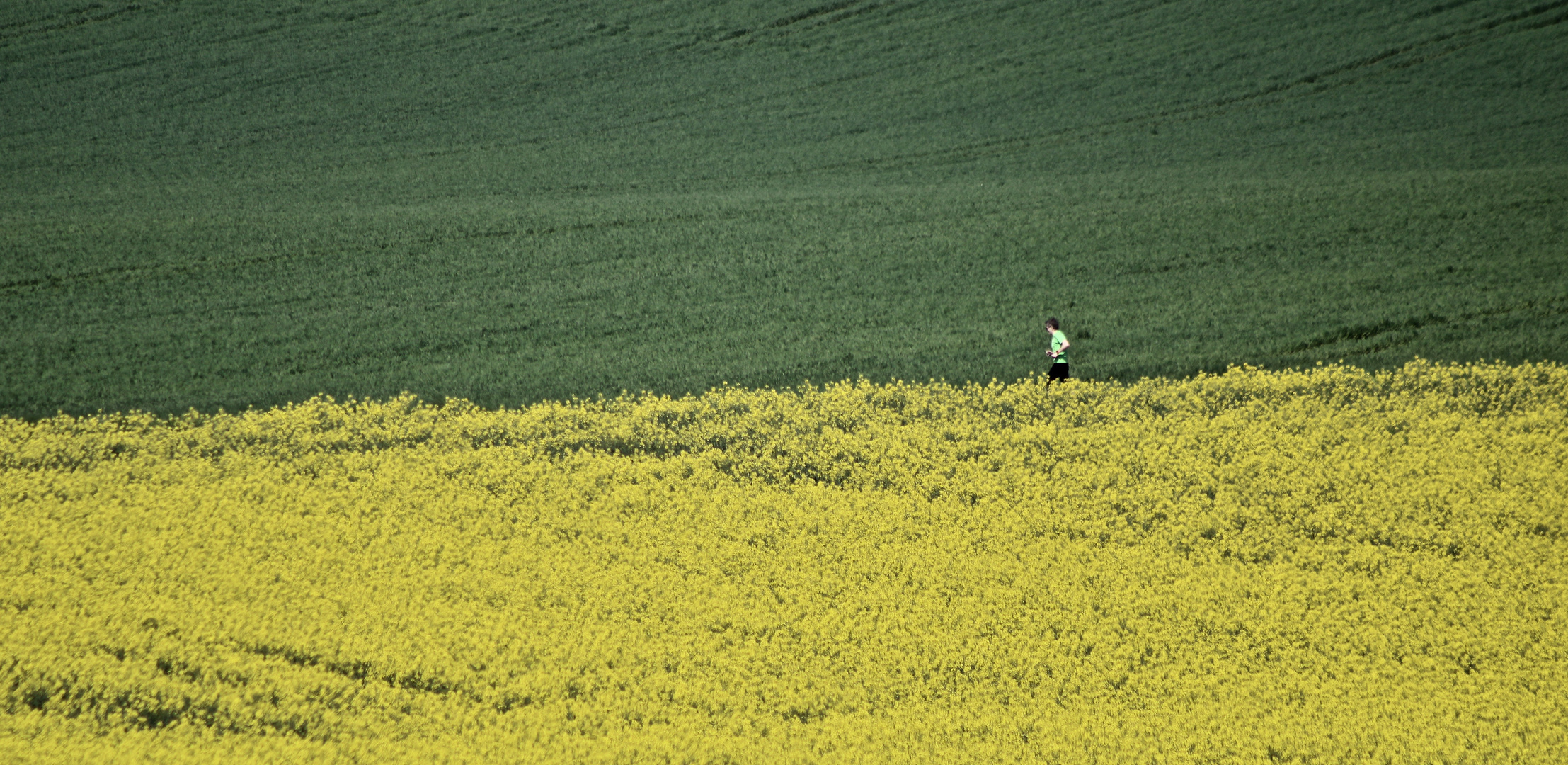 ...un coureur solitaire !!!...