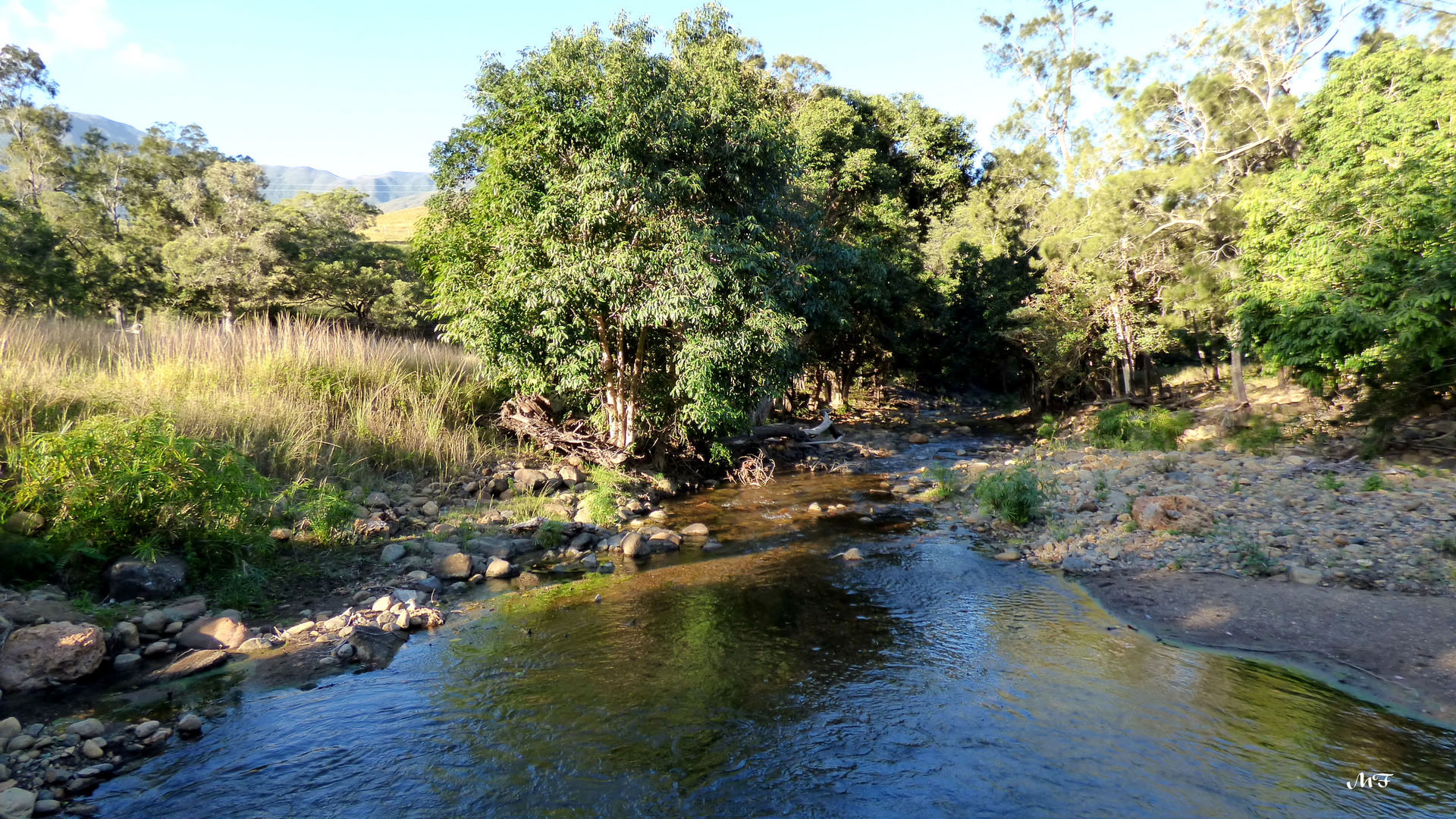 Un creek en brousse