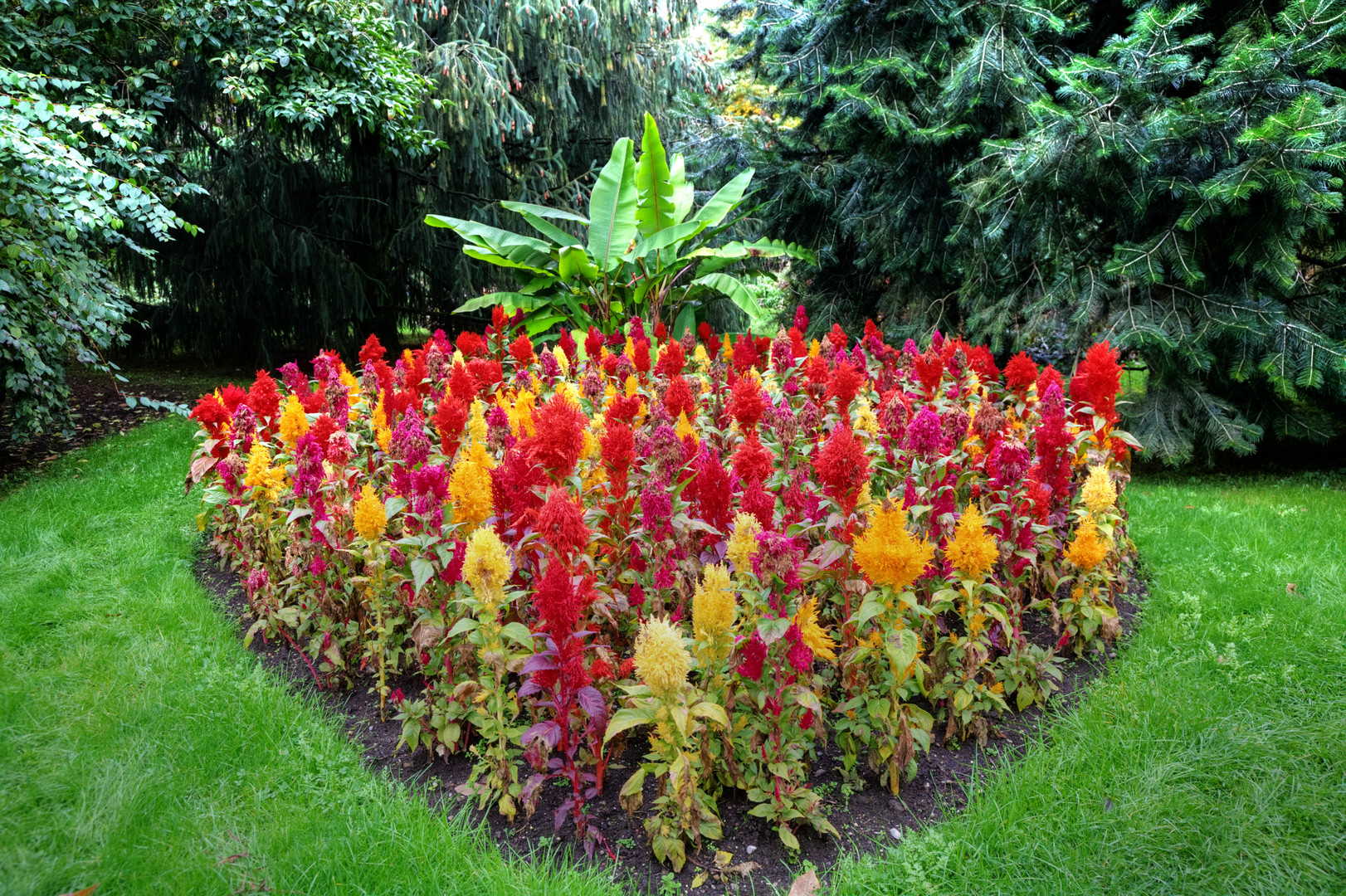 Un cuore di fiori