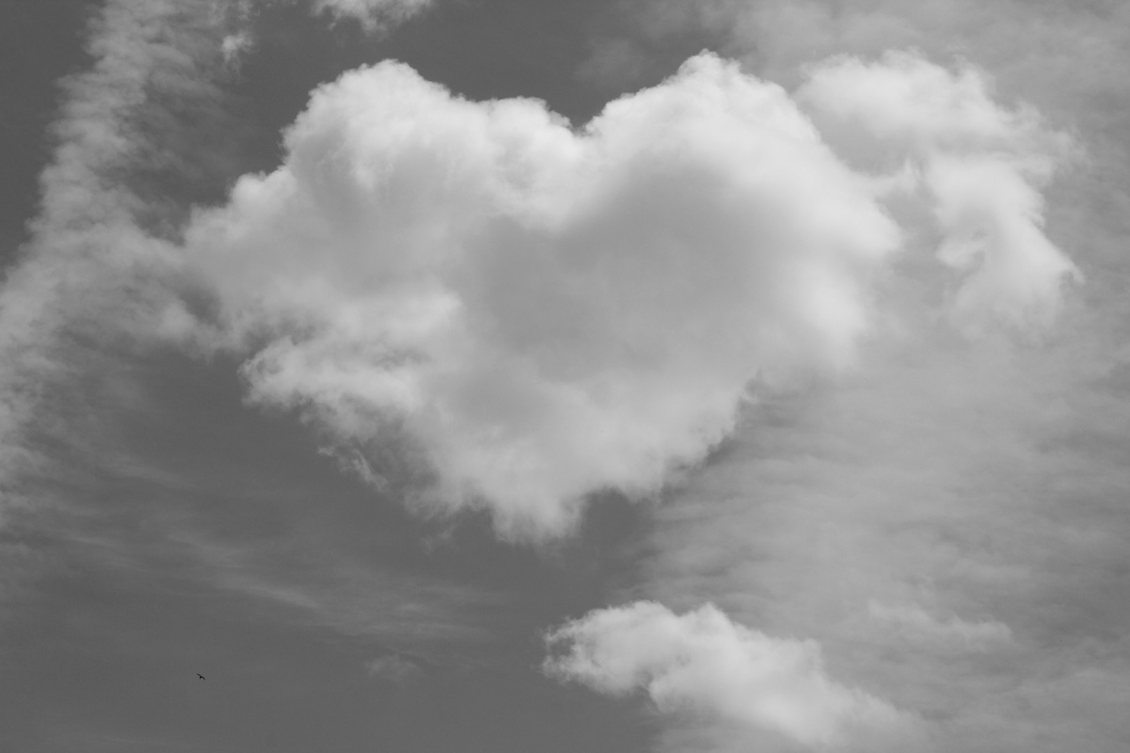 Un Cœur dans le ciel