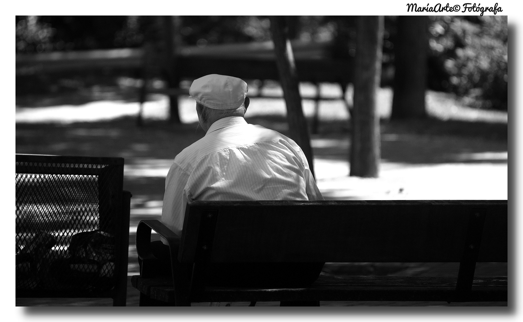 UN DÍA EN LA PLAZA