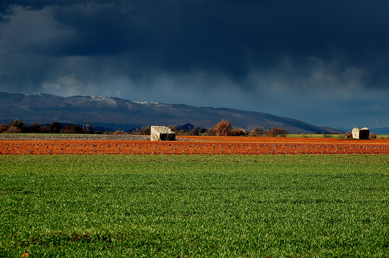 Un dégradé de couleurs