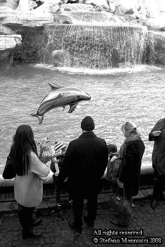 Un delfino a Roma ovvero Mattina di dicembre
