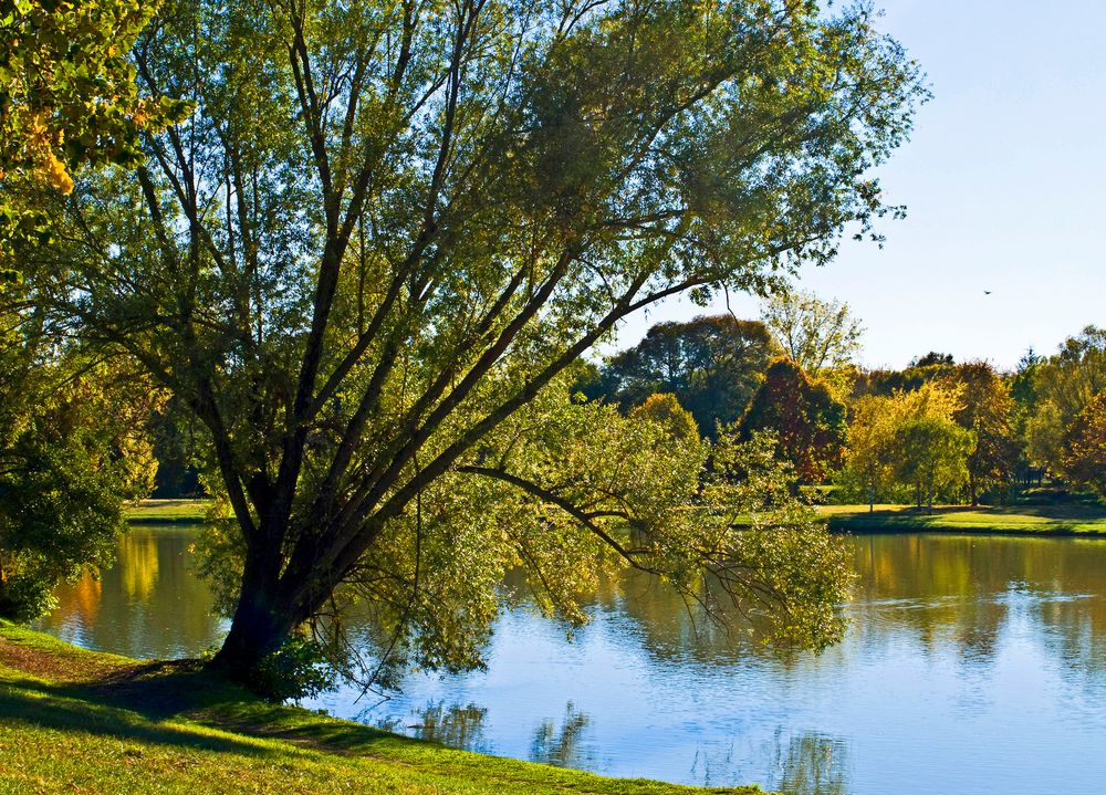 Un des lacs du parc de Gauge à Condom