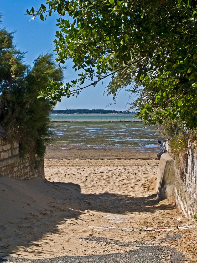 Un des nombreux accès à la plage de Ronce-les-Bains (Charente-Maritime) à marée basse