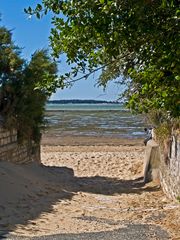 Un des nombreux accès à la plage de Ronce-les-Bains (Charente-Maritime) à marée basse