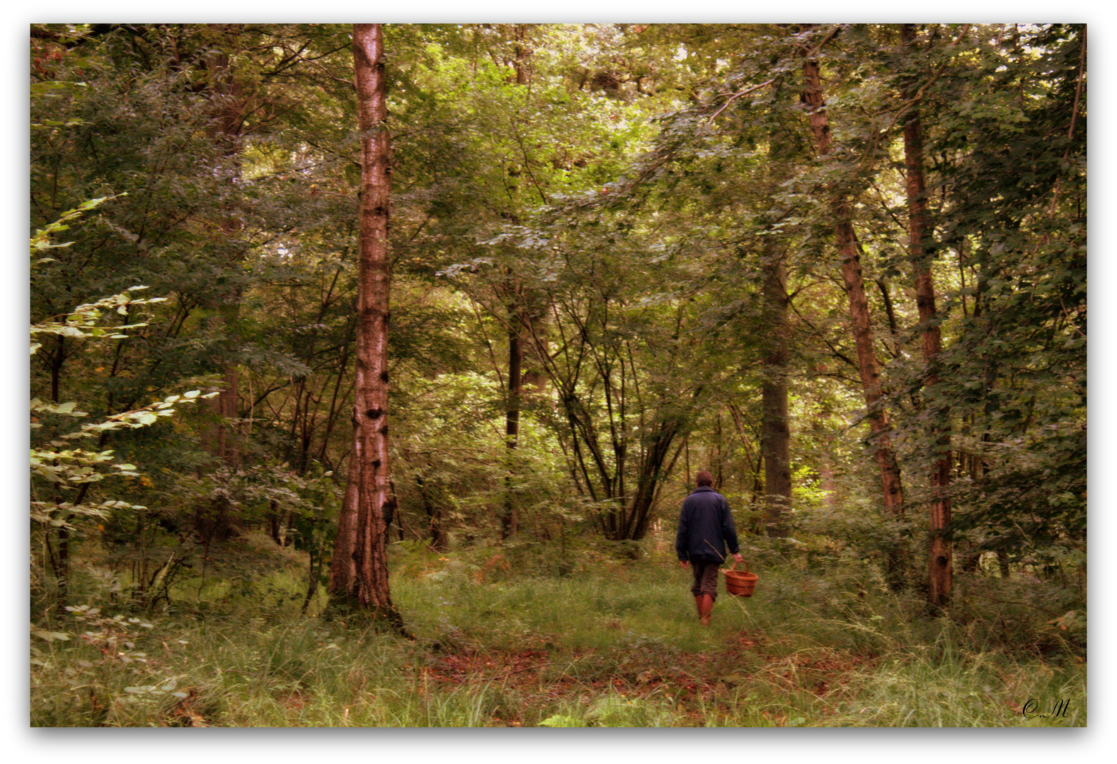 Un des plaisirs de l'automne,