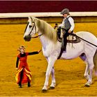 Un des tableaux du spectacle équestre dans les arènes de Dax