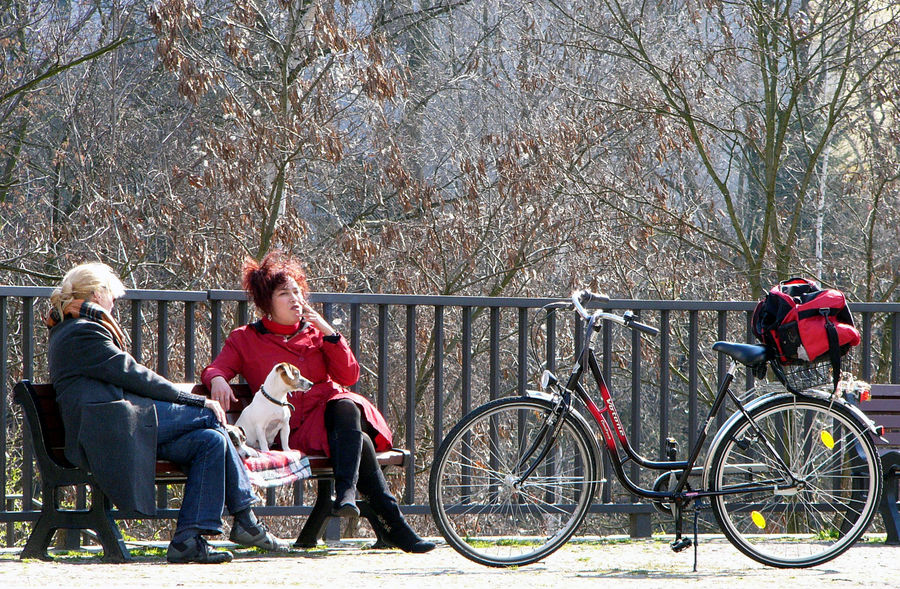 Un descansito al sol del otoño