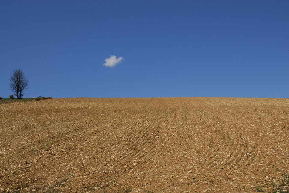 Un desert dans l'arrière pays Niçoit