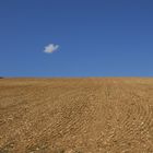 Un desert dans l'arrière pays Niçoit