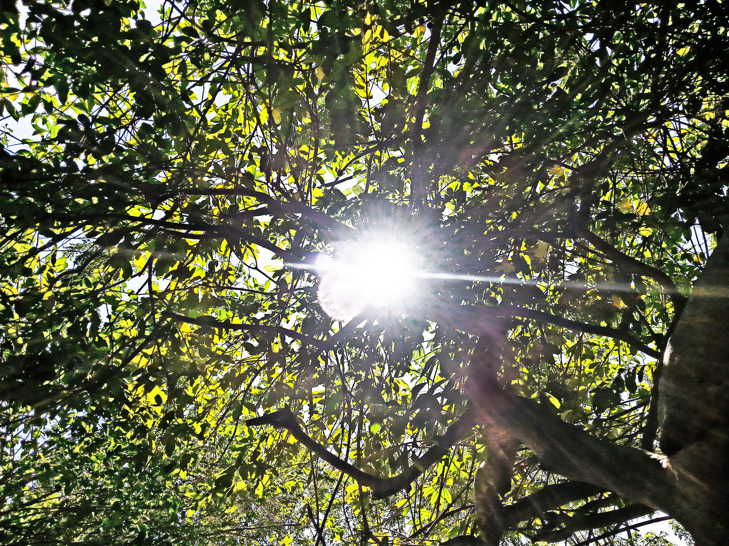 Un detello de Luz