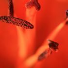 Un dettaglio di emozioni 2