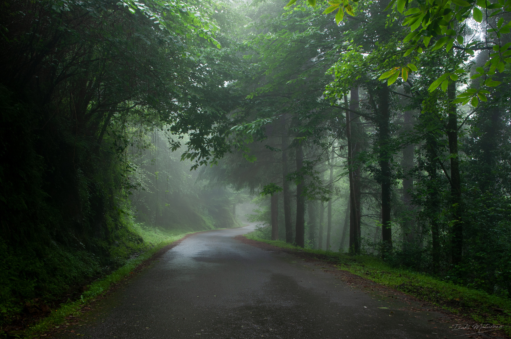 Un día con niebla