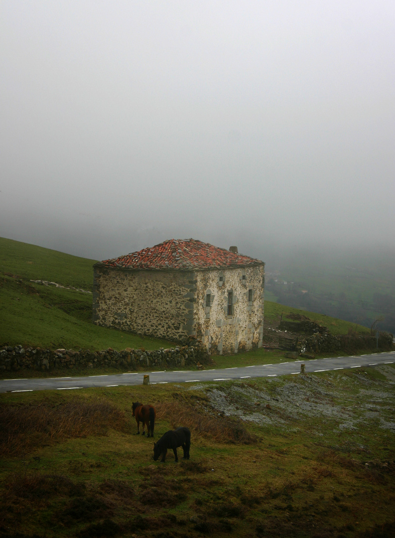 un día de niebla