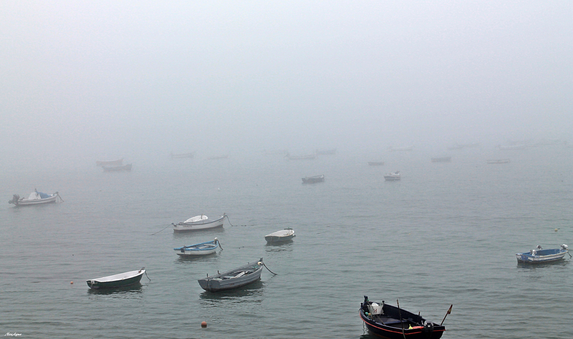 Un día de niebla