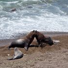 Un día de playa. Escena familiar