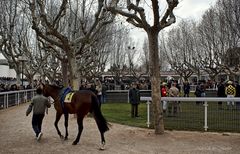 ...un dia en el hipodromo....