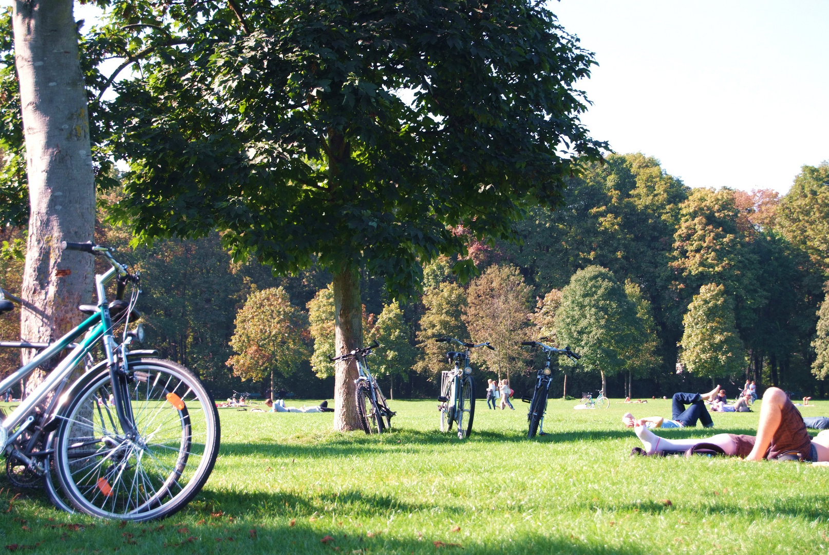 Un día en el parque