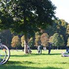 Un día en el parque