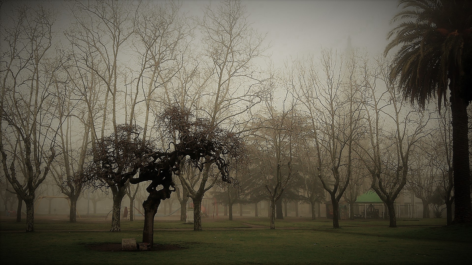 UN DIA INVERNAL,LA PLAZA