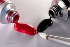 un diciottenne alle elezioni