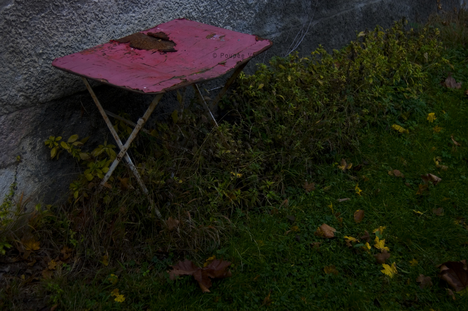 un dimanche à la campagne 10