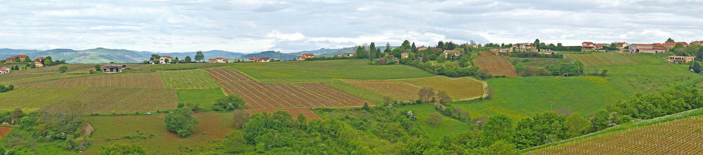 Un dimanche à la campagne